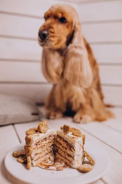 pas sedi pored torte koja nije zdrava hrana za pse zbog svojih secera