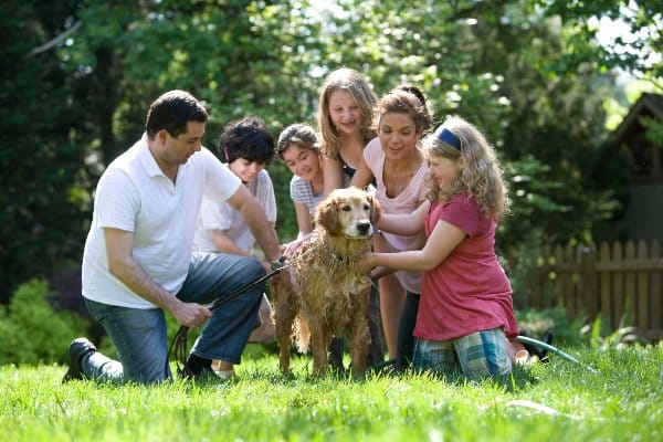 Porodica sa psom u dvoristu